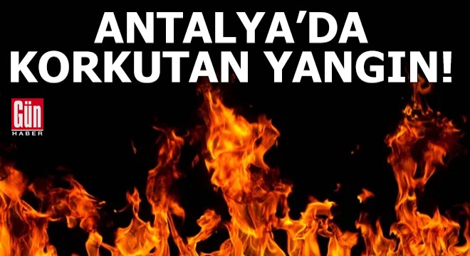 Antalya da korkutan yangın!