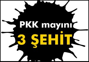 Şırnak ta PKK mayını: 3 şehit, 2 yaralı