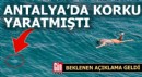 Antalya'da korku ve paniğe neden oldu