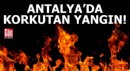 Antalya'da korkutan yangın!