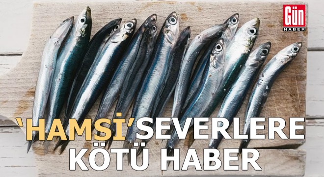  Hamsi  severlere kötü haber