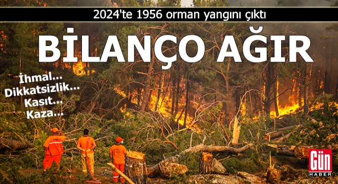 2024 yılının orman yangını bilançosu ağır!