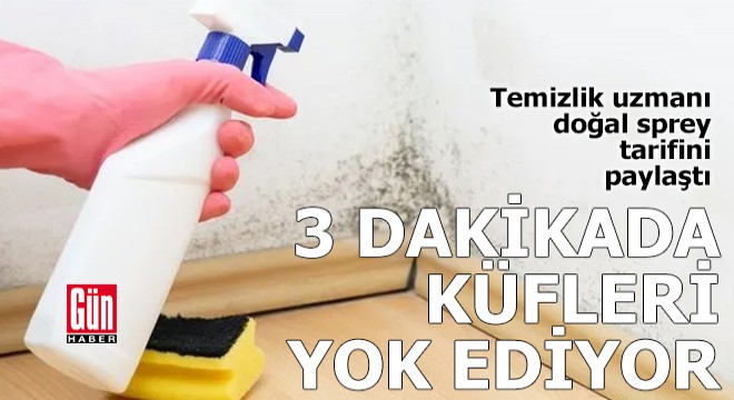 3 dakikada küfleri yok eden doğal sprey