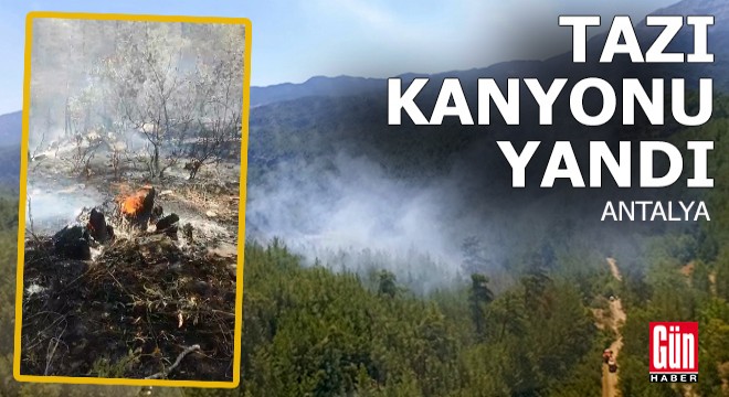 Antalya Tazı Kanyonu nda orman yangını