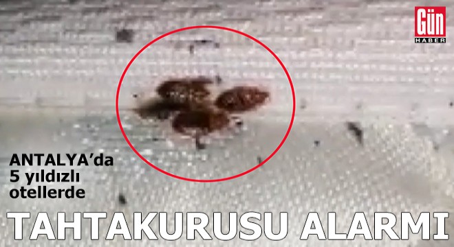 Antalya da 5 yıldızlı otellerde tahtakurusu alarmı