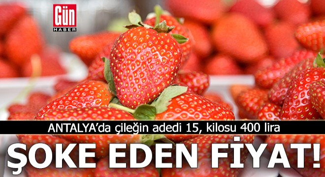 Antalya da çileğin fiyatı şoke etti!