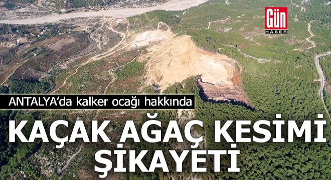 Antalya da kalker ocağı hakkında kaçak ağaç kesimi şikayeti