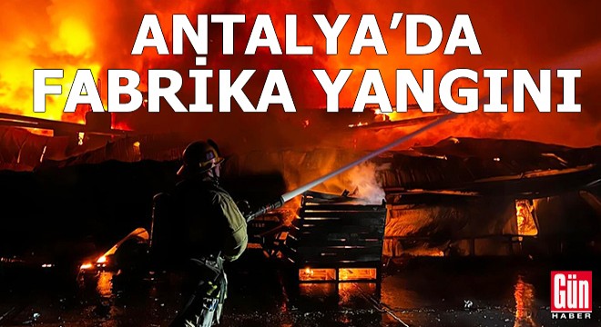 Antalya da kereste fabrikasında yangın