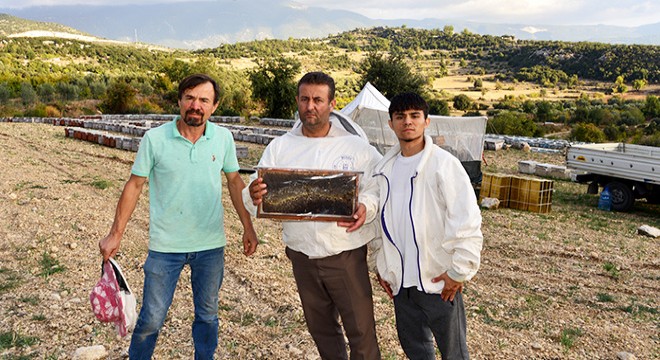 Antalya da köy halkından mermer ocağı davası