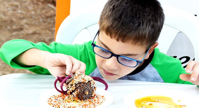 Antalya da kuşları beslemeyi öğrendiler