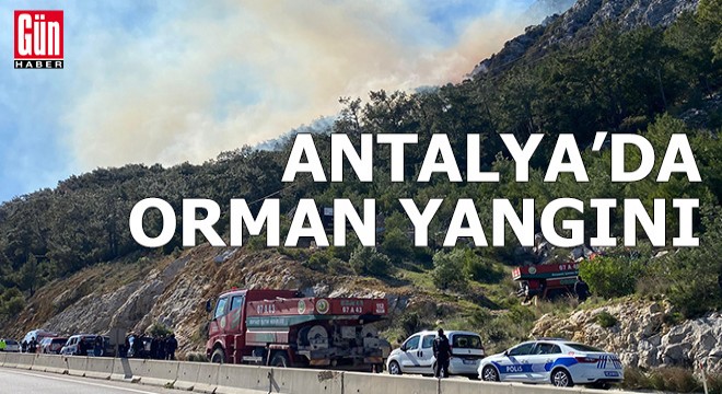 Antalya da orman yangını