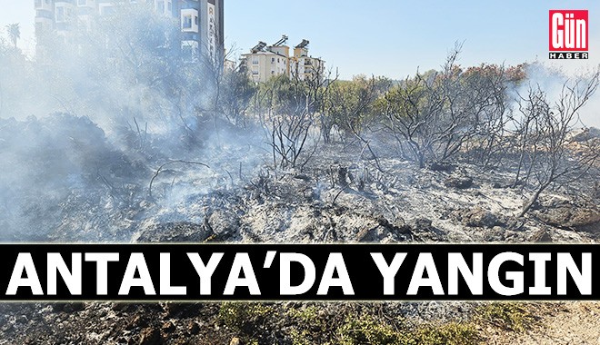 Antalya'da ot çalılık yangını