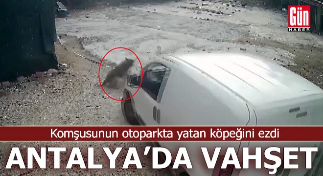 Antalya da vahşet! Komşusunun köpeğini aracıyla ezdi