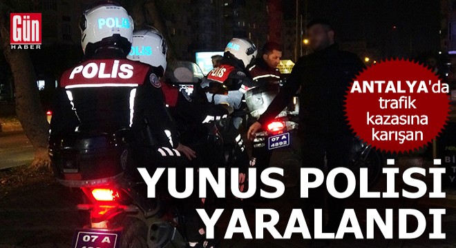 Antalya da yunus polisi bacağından yaralandı