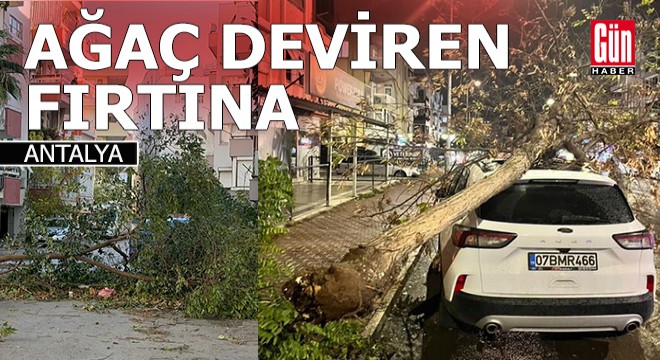 Antalya daki fırtına sera yıktı, çatı uçurdu, ağaç devirdi