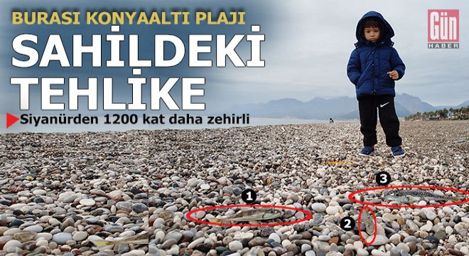 Antalya sahillerinde siyanürlü tehlike...