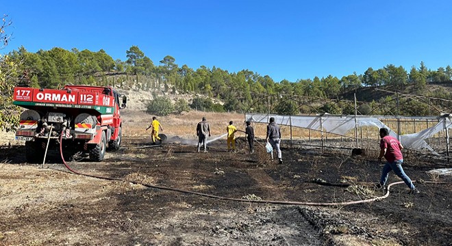 Arazi yangını büyümeden söndürüldü