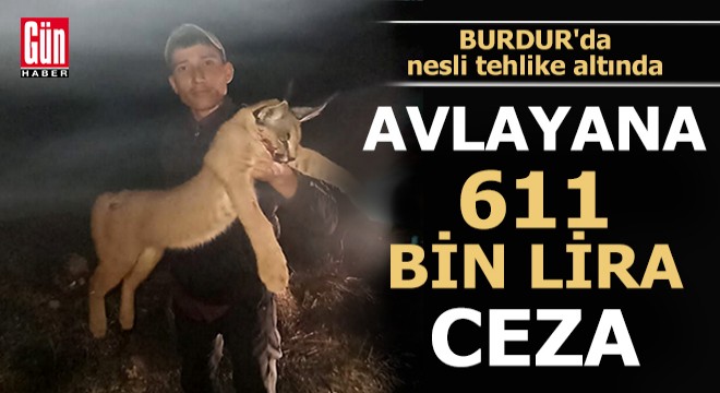 Avlayana 611 bin lira ceza