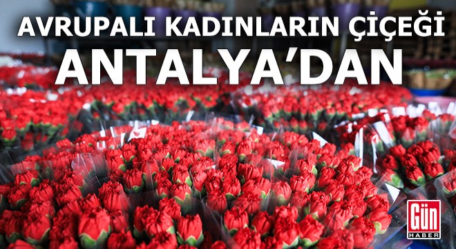 Avrupalı kadınların çiçeği Antalya dan