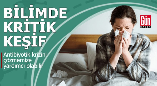 Bilim insanları bağışıklık sisteminin yeni bir bölümünü keşfetti