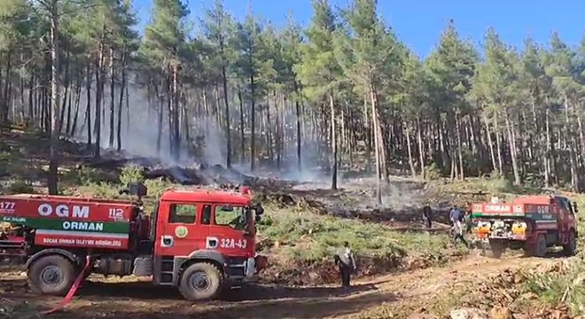 Bucak ta orman yangını büyümeden söndürüldü