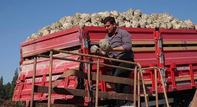 Burdur Şeker Fabrikası nda kampanya dönemi başladı