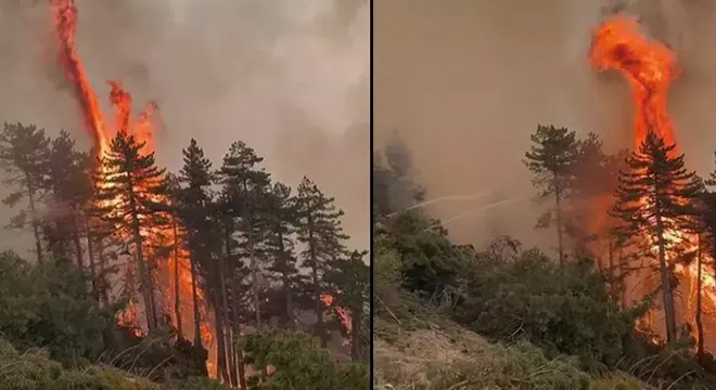 Denizli deki orman yangını kontrol altına alındı