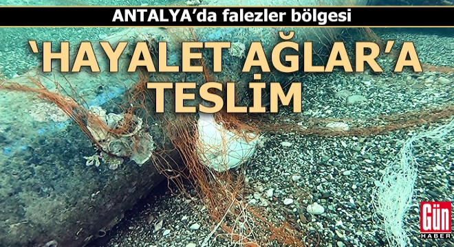 Falezler bölgesi  hayalet ağlar a teslim