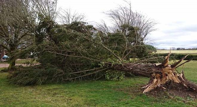 Fransa da 19 vilayette turuncu alarm verildi