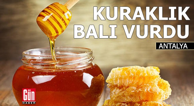 Kuraklık ve iklim değişikliği bal üretimini vurdu