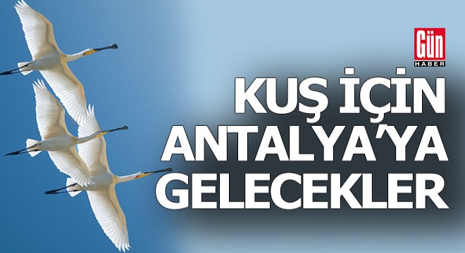 Kuş Gözlem Kampı Nisan da Antalya da başlıyor