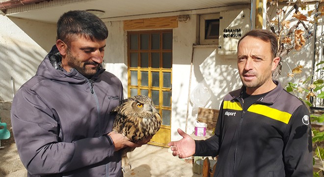 Nesli tehlikedeki puhu kuşunun ölümü mahalleliyi üzdü