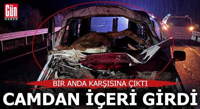 Ön camdan içeri girdi; sürücü ağır yaralı