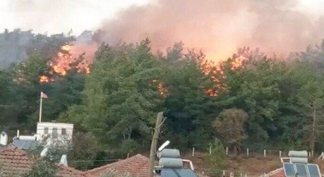 Ormanın küle döndüğü yangın sigara izmaritinden çıkmış