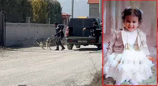 Sokak köpeklerinin saldırısında ölen Rana nın Adli Tıp raporu çıktı