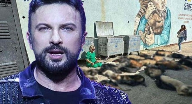 Tarkan dan Gebze de yaşanan hayvan katliamına tepki