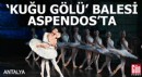 'Kuğu Gölü' balesi Aspendos'ta