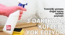 3 dakikada küfleri yok eden doğal sprey