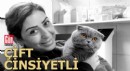 6 milyonda 1 görülen çift cinsiyetli kedi ameliyat edildi