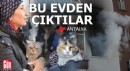 Antalya'da 2 kedili evde can pazarı