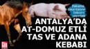 Antalya'da 2 lokanta at ve domuz etli tas ve adana kebabı satmış