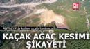 Antalya'da kalker ocağı hakkında kaçak ağaç kesimi şikayeti