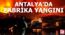 Antalya'da kereste fabrikasında yangın