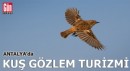 Antalya'da kuş gözlem turizmi