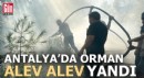 Antalya'da orman alev alev yandı