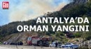 Antalya'da orman yangını