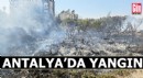 Antalya'da ot çalılık yangını