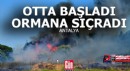 Antalya'da otta başlayan yangın ormana sıçradı