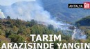 Antalya'da tarım arazisinde yangın