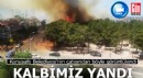 Antalya'nın kalbi Konyaaltı'ndaki ormanlık alan yandı